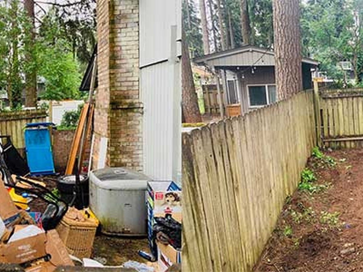 Yard Cleanup