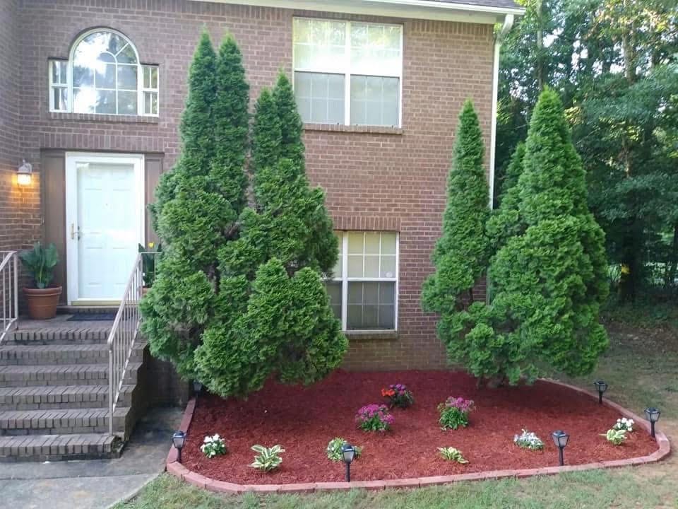 Flower Bed Refresh